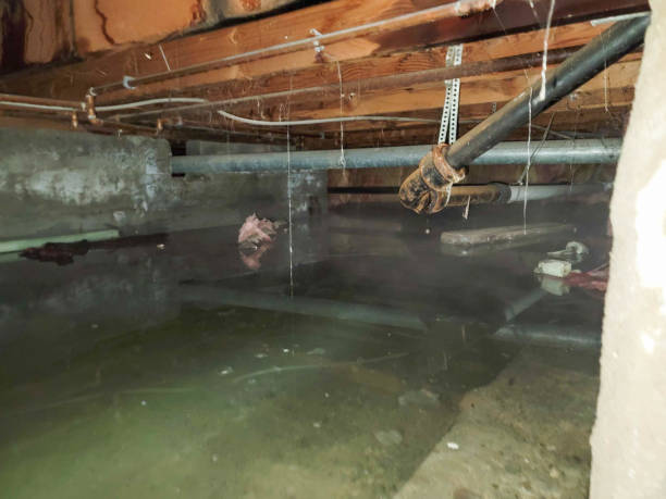 Best Water damage restoration near me  in Diamondhead, MS