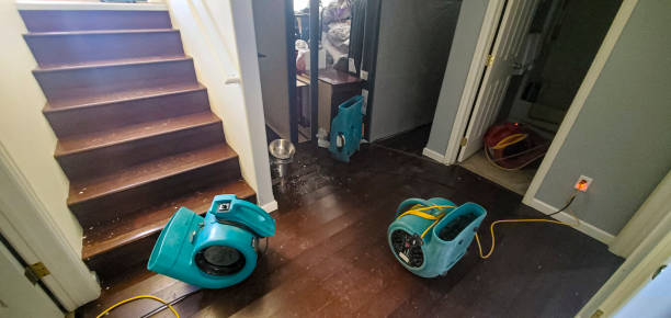 Best Water damage restoration near me  in Diamondhead, MS