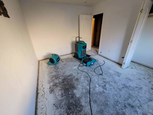 Reliable Diamondhead, MS Water damage restoration Solutions